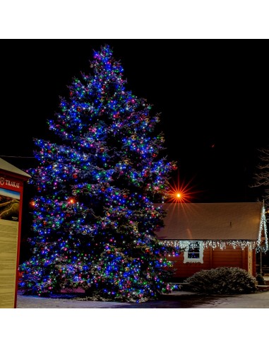 Profesionali AdamLights smulkių lempučių lauko girlianda | IP67, 1200 LED, 200 m. Profesionali AdamLights smulkių lempučių lauko girlianda | IP67, 1200 LED, 200 m.